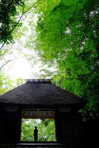 初夏を楽しもう！ 哲学の道 周辺 散策撮影会（6月20日） @ 哲学の道　周辺 | 京都市 | 京都府 | 日本