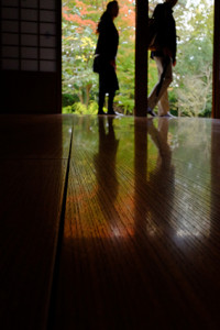 紅葉真っ盛り古都（京都御苑） 散策撮影会（11月29日） @ 京都市 | 京都府 | 日本