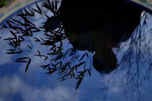 泉涌寺 七福神めぐり 散策撮影会(1月8日) @ 京都市 | 京都府 | 日本