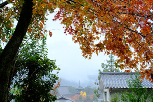 紅葉真っ盛り古都（東山方面） 散策撮影会（11月25日） @ 京都市 | 京都府 | 日本
