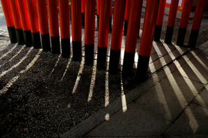 梅の北野天満宮から御室仁和寺へ 散策撮影会（2月18日） @ 京都市 | 京都府 | 日本