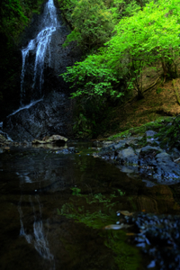 周山街道をいく「新緑と滝」 散策撮影会（5月12日） @ 京都市 | 京都府 | 日本