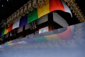 東寺(毘沙門天)から京都水族館へ  散策 撮影会　1月27日　京都 @ 京都市 | 京都府 | 日本