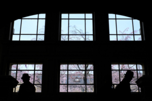 2026年3月　桜　烏丸丸太町　 周辺　 撮影会　京都　3月28日 @ 京都市 | 京都府 | 日本