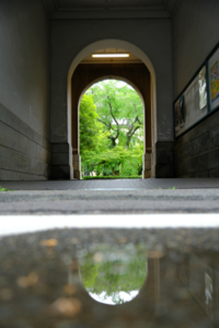 2026年5月　新緑の京都御苑周辺から東本願寺へ　 撮影会　京都　5月2日 @ 京都市 | 京都府 | 日本